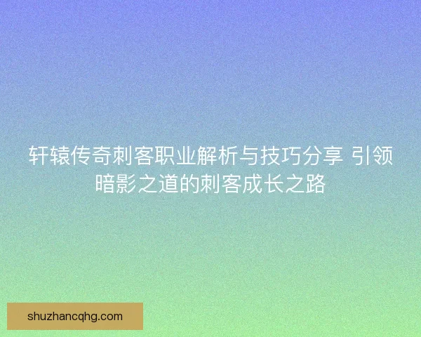 轩辕传奇刺客职业解析与技巧分享 引领暗影之道的刺客成长之路